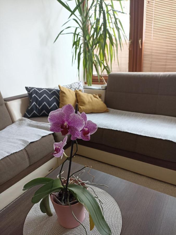 Apartment Bella Casa Free Parking SJJ Buitenkant foto